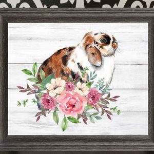 New Framed Lop-Eared Bunny Rabbit Rustic Farmhouse Print